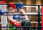 Sparring Bout-1_Arnie Watson v Rio Gaudion-5