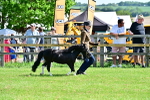 SBM_03419