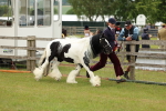 SBM_06270