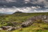 DM03 - Sharp Tor on Bodmin Moor