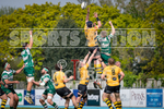 Guernsey Raiders v Canterbury RFC-8