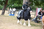 WJ6_8909