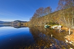 Loch Achilty, Torrachilty Forest, Highland