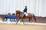 SBM_018740
