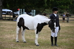 WJ6_4239