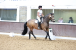 SBM_010791