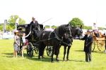 SBM_06690
