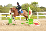 SBM_003993