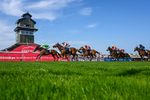 130826-Race 4-Shazani-5296