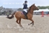 BPP_3732