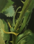 1. Undergrowth, Oil on Canvas, 46cm x 36cm