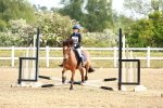 SBM_006591