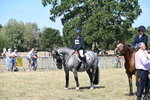 WJ6_8466