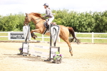SBM_006184