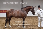 BPP_2810