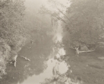 Creek, Maryland, 1982