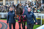 151125-Race 7-Edith Pelham-4310