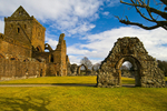 Sweetheart Abbey - 7656