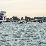 _DSC3250-2