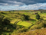 Haworth Moor