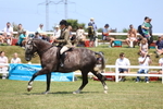 3E7A8440