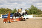 SBM_04251