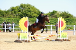 SBM_007331