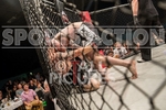 FULL BOAR CAGE FIGHTING 2012 portfolio