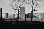 Liverpool Photo Essay portfolio