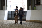 AJG_0163