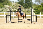 SBM_007853