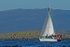 Palludine - Ushuaia (Argentina)