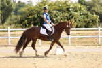 SBM_006532