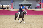 SBM_23590