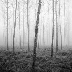 More or less of the same