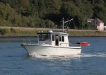 090917 WILD GOOSE IMG_7276