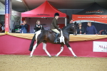 SBM_09617