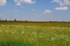 Kiskunság National Park, Hungary