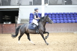 SBM_003339