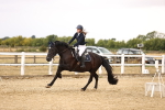 SBM_007608