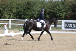 SBM_001262