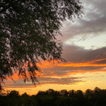 Chadbury Sky - 02