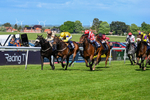 120526-Race 4-Dandy Dinmont-8268