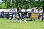 SBM_12218