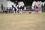 WJ6_1120