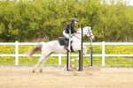 SBM_004377