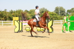 SBM_002233