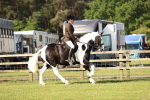 SBM_12316