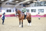 SBM_08933