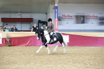 SBM_03655